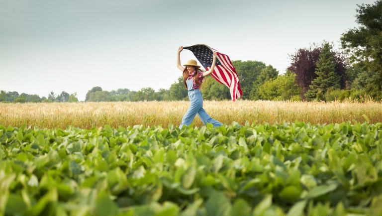 Amerikai farmer: A gyapottól a szójáig, 100 év alatt, hatékonyan