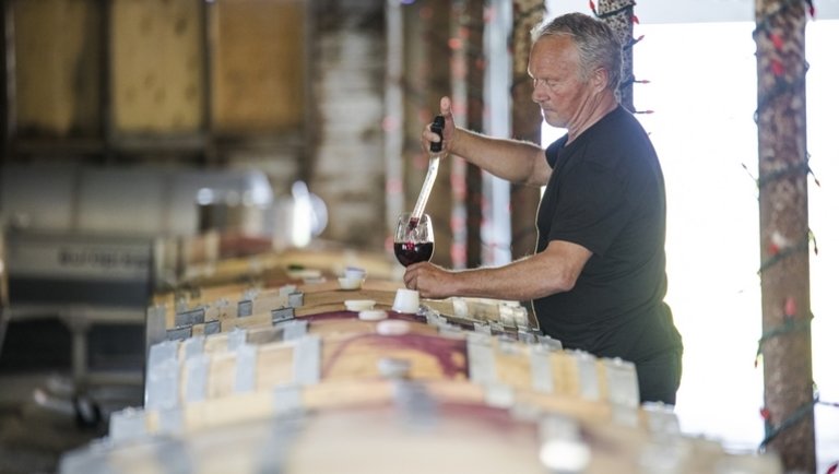 Agrármatek: Kifizeti-e a piac a vörösbor többletköltségeit?