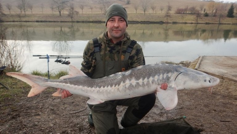 Megvan az év első rekordhala: ebben a magyar tóban akadt horogra az óriás