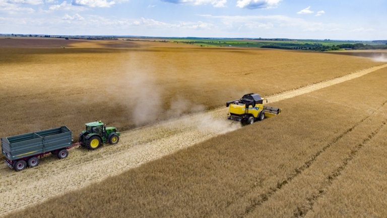 2020 nem lesz a magyar gabonatermelők éve: kevesebb a búza, gond van az árpával