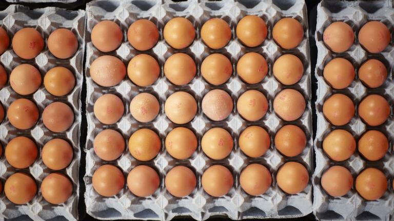 Mi lesz az ára az alternatív tojástermelési tartástechnológiáknak?