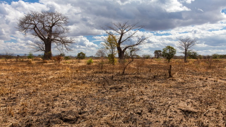 Óriási éghajlati átalakulás jön: több milliárd ember élelmezése kerülhet veszélybe