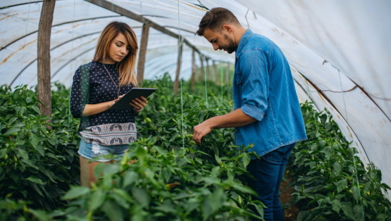 Ezek most a legmenőbb magyar agrárinnovációs startupok