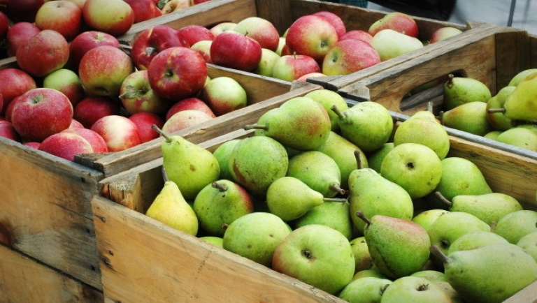 Dugig vannak az európai almatárolók: de aggasztó a helyzet a körteterméssel