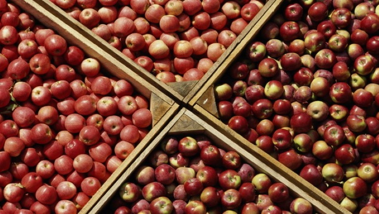 Az almapiacot is elérte az orosz-ukrán háború: komoly gondok akadtak a szállításban