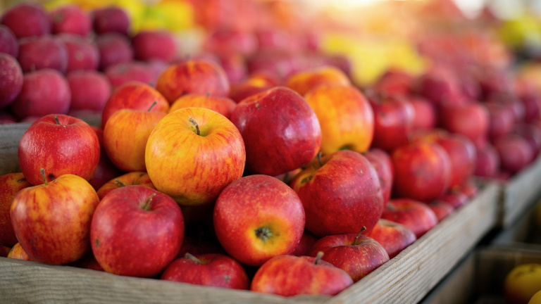 Meglepő hírek érkeztek: döbbenet, mi derült ki Európa almaterméséről