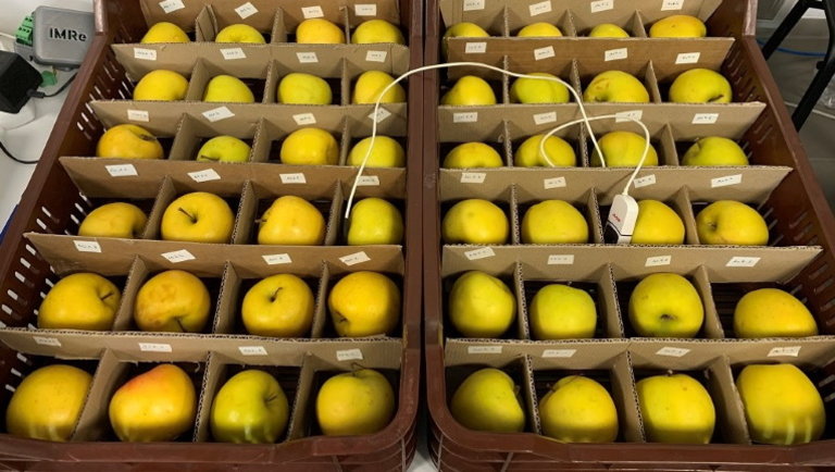 Teljesen új irányt vehet a gyümölcsök tárolása: a csomagolásuk sem lesz már a régi?