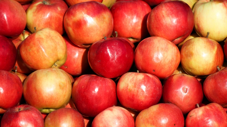 Új piacok felé kacsingatnak a szerb almatermesztők: itt adnák el a gyümölcsöt