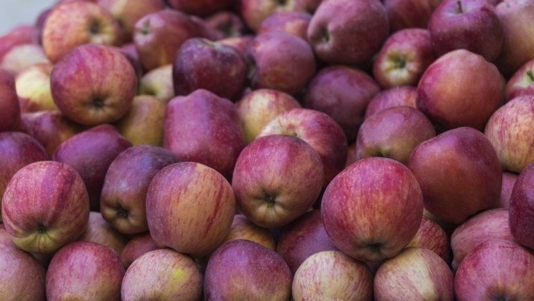 Beszabadult a piacra az olcsó lengyel alma: komoly árváltozás jöhet a boltokban