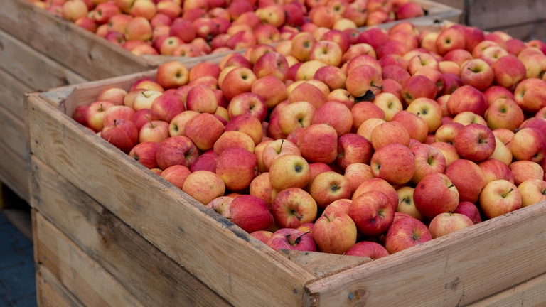 Bizonytalan helyzetben a világ almatermelői: rengeteg a kérdés az idei szezon körül
