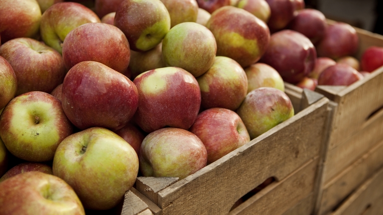 Sokan hibáznak az alma tárolásakor: ezek lehetnek a legnagyobb buktatók