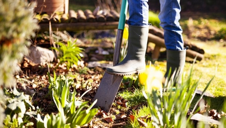 Ezek a legfontosabb áprilisi teendők a kertben: itt a 9 pontos feladatlista
