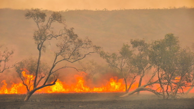 Ausztráliai tüzek: a szakember szerint a java még hátra van