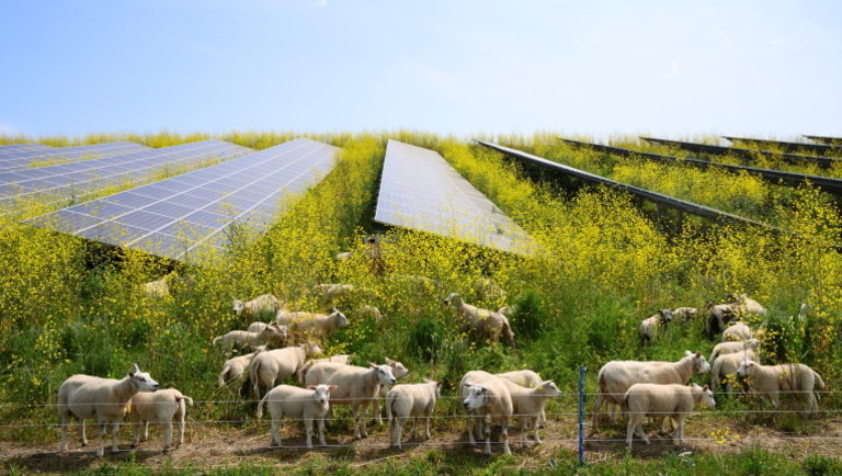 Mezőgazdaság és klímavédelem: itt van minden, amit a magyar gazdáknak tudni kell