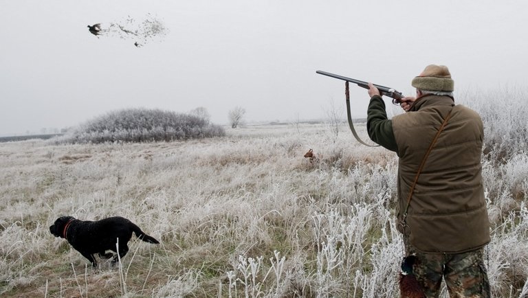 Súlyos csapás érte a Békés megyei vadászokat: százmilliókat buktak egy év alatt
