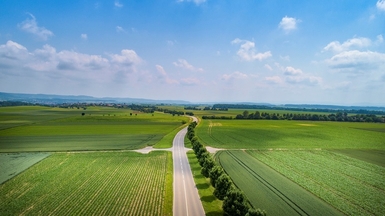 Így lehet versenyképes a magyar mezőgazdaság: tényleg ez a siker titka? 
