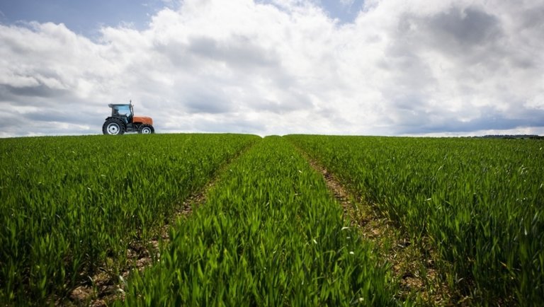 Nagy István: az uniós agrárstratégiák nem veszélyeztethetik a gazdák versenyképességét