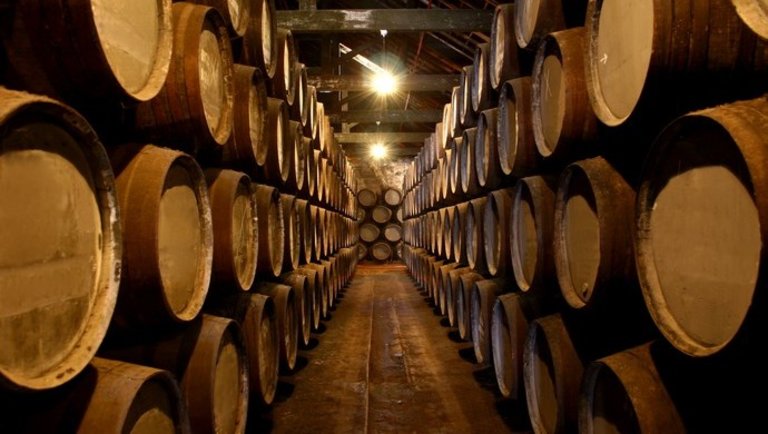 Jó évet zárt a Varga Pincészet 2019-ben: előretörtek a prémium borok