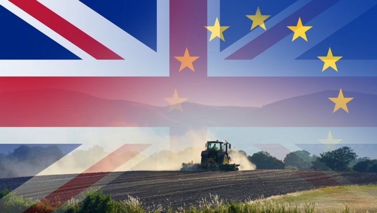 Brexit: ezek a mezőgazdasági és élelmiszeripari termékekkel kapcsolatos intézkedések