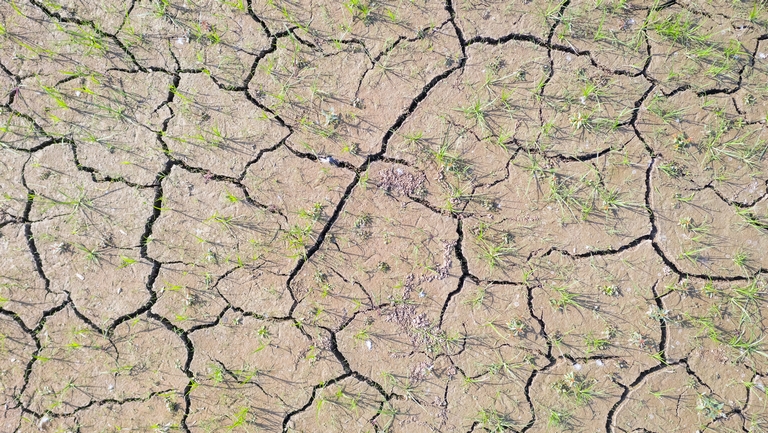 Pusztító szárazság uralkodik a magyar földeken: kiderült, mikor, hol várható eső