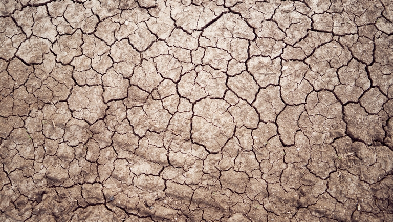 Brutális szárazság sújtja a magyar földeket: sürgősen kellene egy kiadós eső