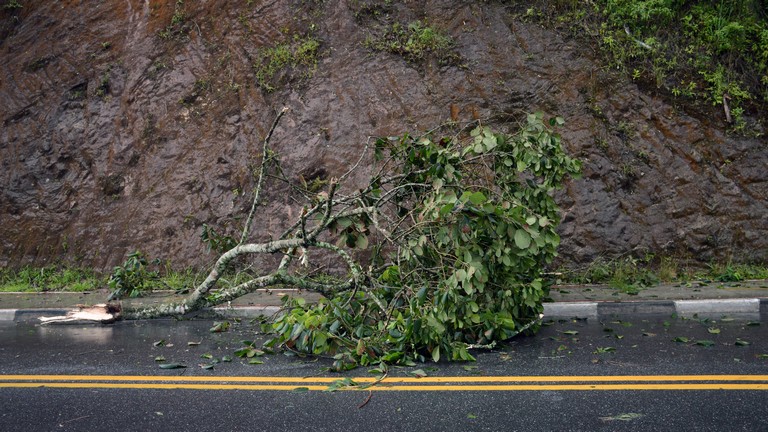 Brutális szélvihar csap le az országra: figyelmeztet a hatóság, fákat csavarhat ki