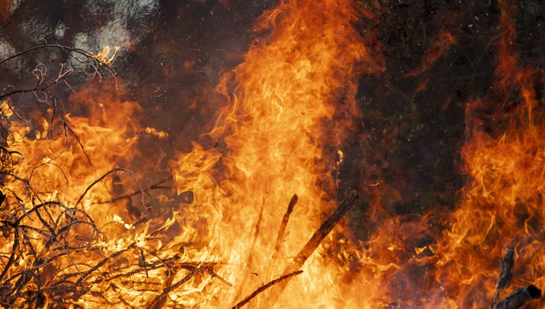 Kiadták a figyelmeztetést! Fokozott tűzveszély van a Budapest környéki erdőkben