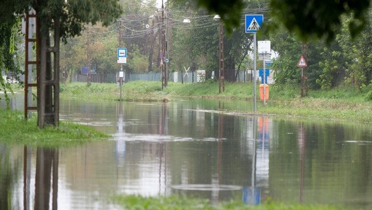 Itt a jelentés: így lehetne hatékonyan felhasználni a Budapestre hulló esővizet