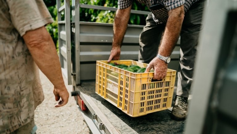 Zöldséggel és gyümölccsel kereskedő bűnszervezetet kapcsoltak le egy magyar piacon