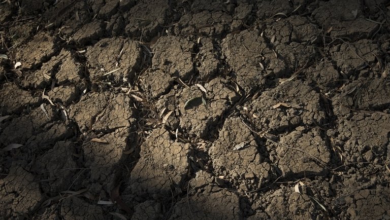 A magyar gazdák ellen dolgozik az időjárás: kiadós esőre lenne szükség a földeken