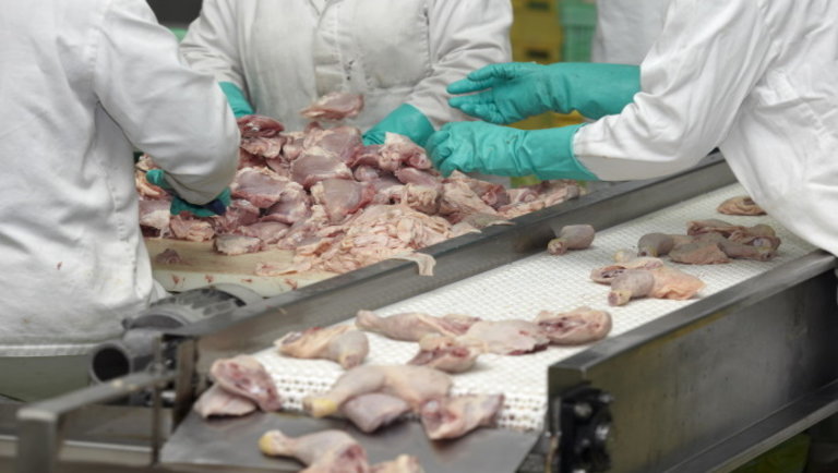 Vészjósló jelentés: világszerte komoly visszaesés várható a hústermelésében