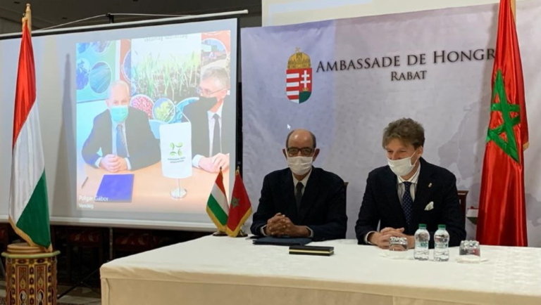 Afrikába viszik a magyar vetőmagot: különleges együttműködés született Marokkóval