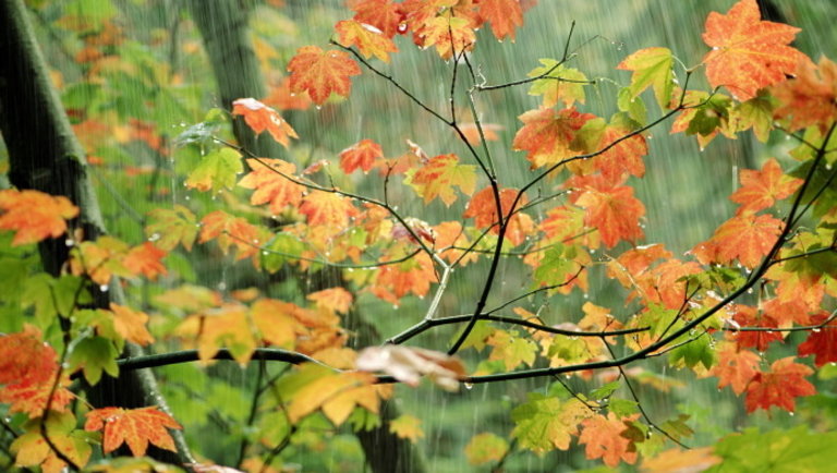 Október elején tényleg megérkezett az ősz: szeszélyes idő várható a jövő héten