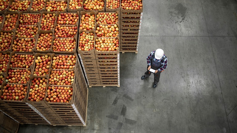 Egyre kevesebb ilyen alma van Európában: ezt jobb, ha mindenki tudja