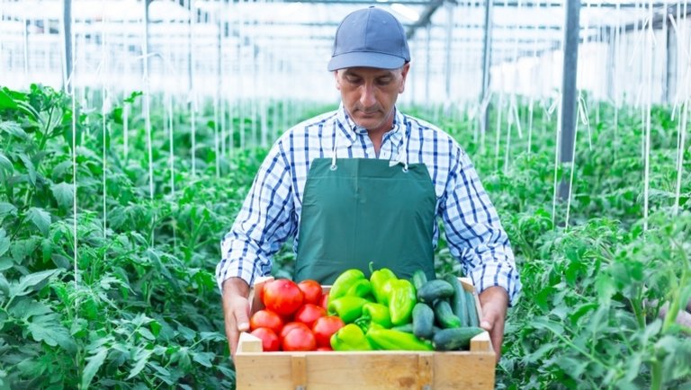 Fellépést sürget a munkaerőhiány miatt az európai zöldség- és gyümölcságazat