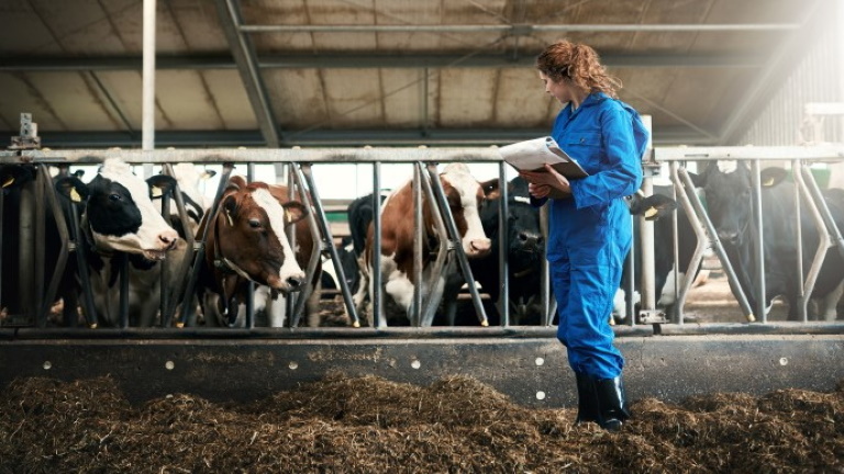 Tények és tévhitek az állattenyésztésről: alaptalanok a támadások?