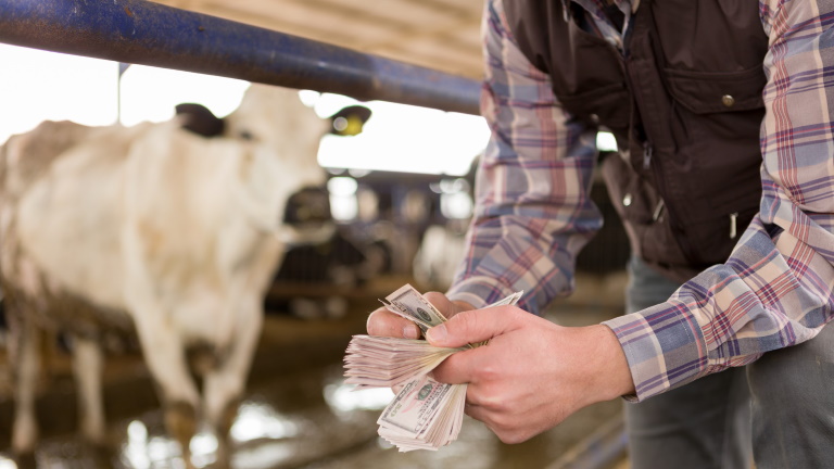 Váratlan fordulat a mezőgazdaságban: meglepő dolog történt a felvásárlási árakkal