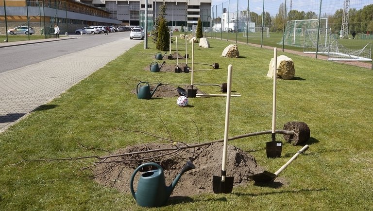 Hasít a fásítási program: egyre több a zöldterület Magyarországon