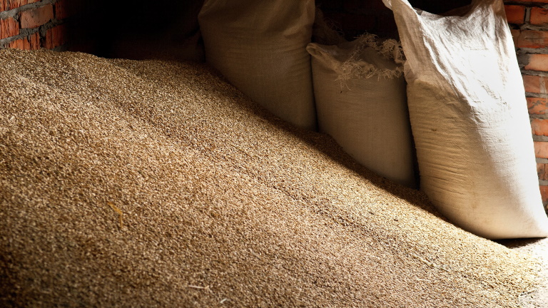 Felrobbantak a gabonaárak a háború miatt: súlyos élelmiszerválság jöhet