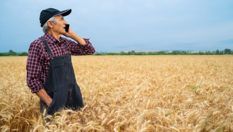 Új technológia hozhat forradalmi változást a magyar mezőgazdaságban