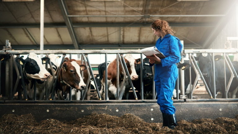 Jogszabályt módosított az Európai Unió: ez minden állattenyésztőt érinteni fog