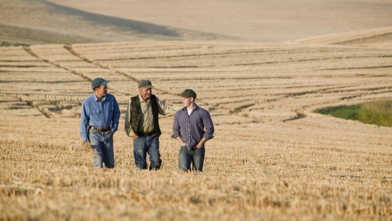 Komoly probléma a magyar agráriumban: a generációváltás akadályait kutatják
