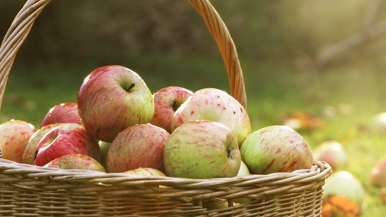 Váratlan hírek érkeztek a lengyel almáról: valami nagyon beindult az országban