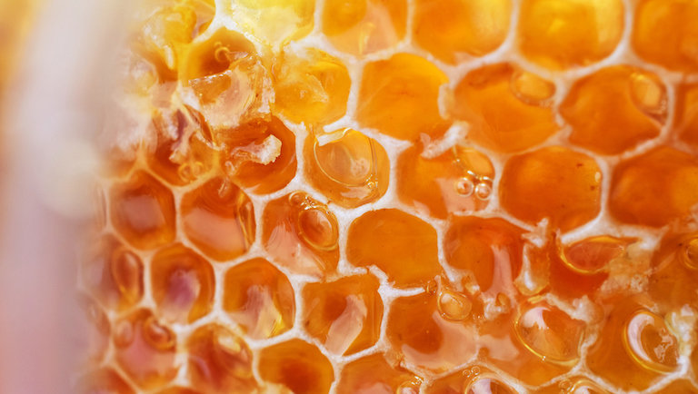 Gyomirtós mézzel öntötték le a méhészek a mezőgazdasági minisztériumot