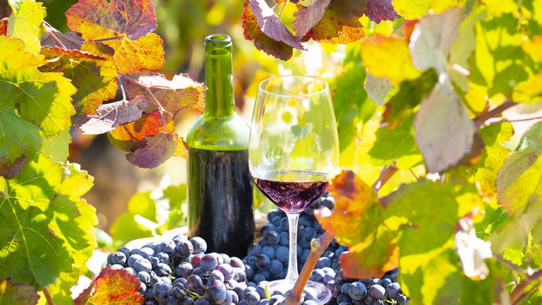Óriási változás a hazai szőlő-és bortermelésben: ezt mindenki a saját bőrén érzi meg