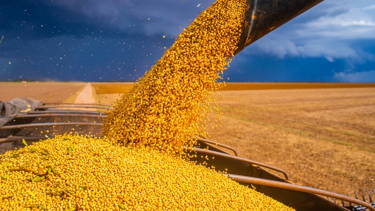 Ukrajna állítja: több százezer tonna gabonát loptak el tőlük az oroszok