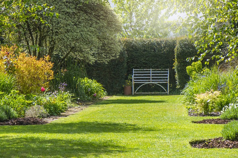 Így lehet egész nyáron bámulatos a gyep a kertben: itt vannak a legjobb tippek