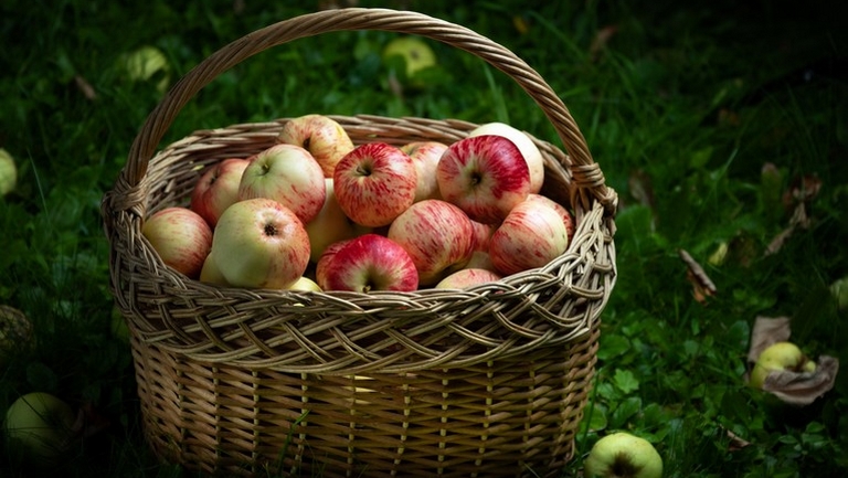 Aggasztó a lengyel almapiac helyzete: már a termelők is tehetetlenek
