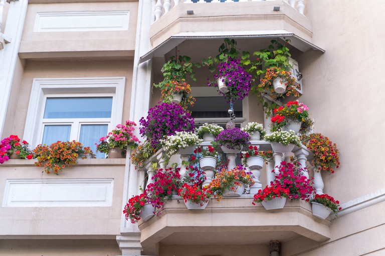 Tuti tippek nem csak kezdőknek: így lehet varázslatos a virágoskerted az erkélyen