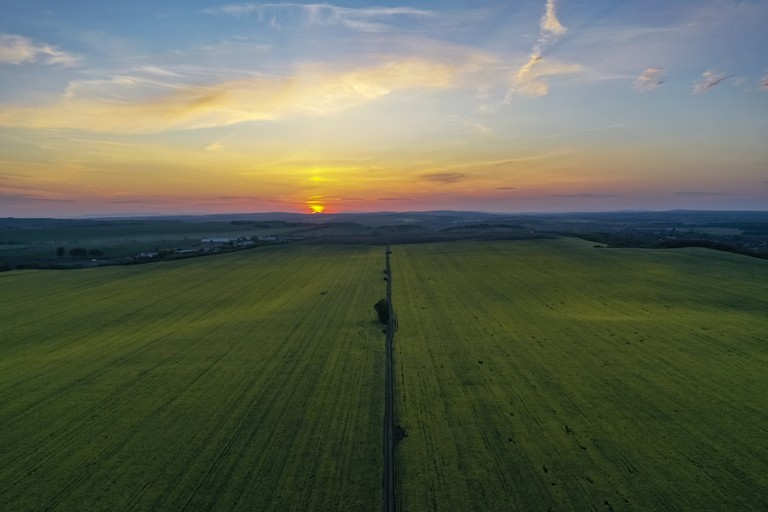 Fordulóponthoz érkezett a magyar mezőgazdaság: ez várhat a jövőben a termelőkre